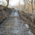 March 2017 - ramp to Brock Street and Tunnel Avenue from gorge property north of Canada's First Rail