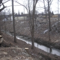 March 2017 - in gorge property north of Canada's First Railway Tunnel (photo by George Smith). 