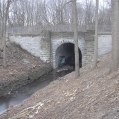 March 2017 - in gorge north of Canada's First Railway Tunnel, below CN corridor bridge (photo by Geo