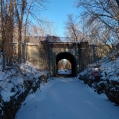 December 2016 - in gorge looking north from Canada's First Railway Tunnel to CN corridor bridge (pho